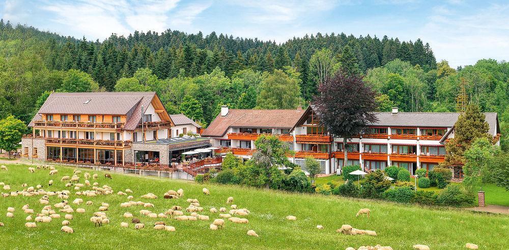 Hotel Gruener Wald Freudenstadt Zewnętrze zdjęcie